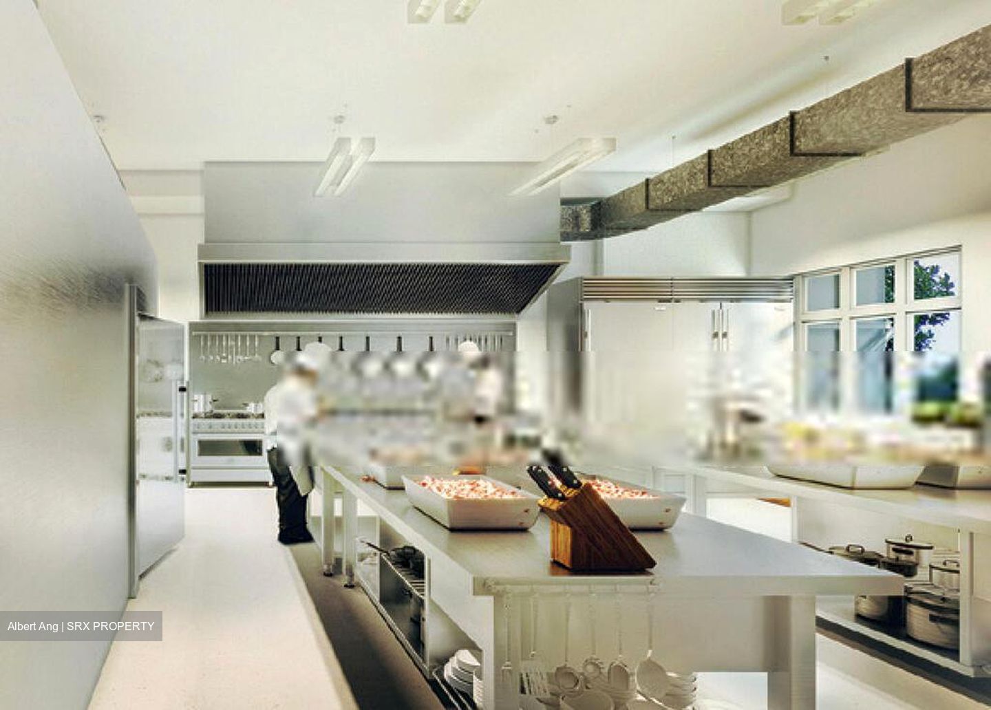 Ct Foodnex (D25), Factory #454664111
